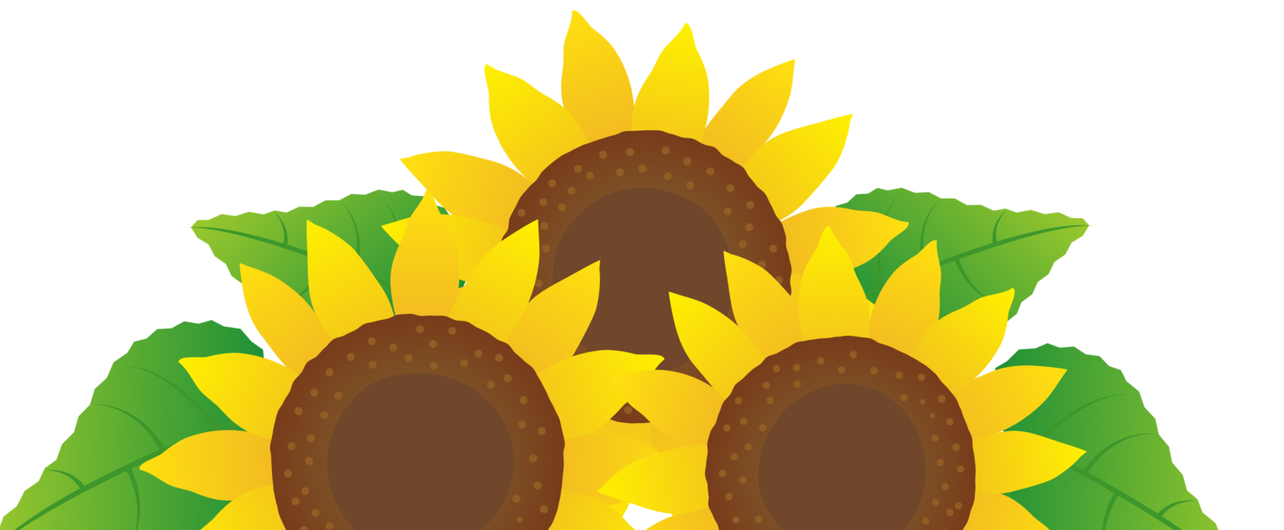 ひまわりイラスト