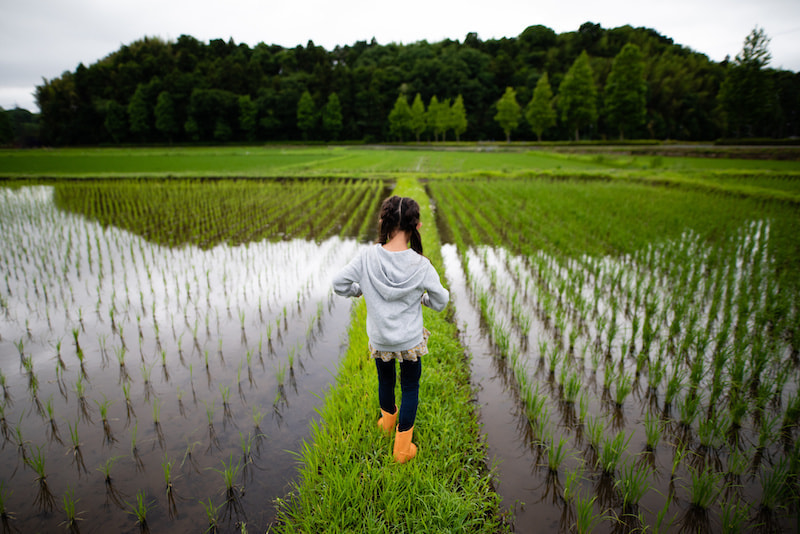 山里の田園風景