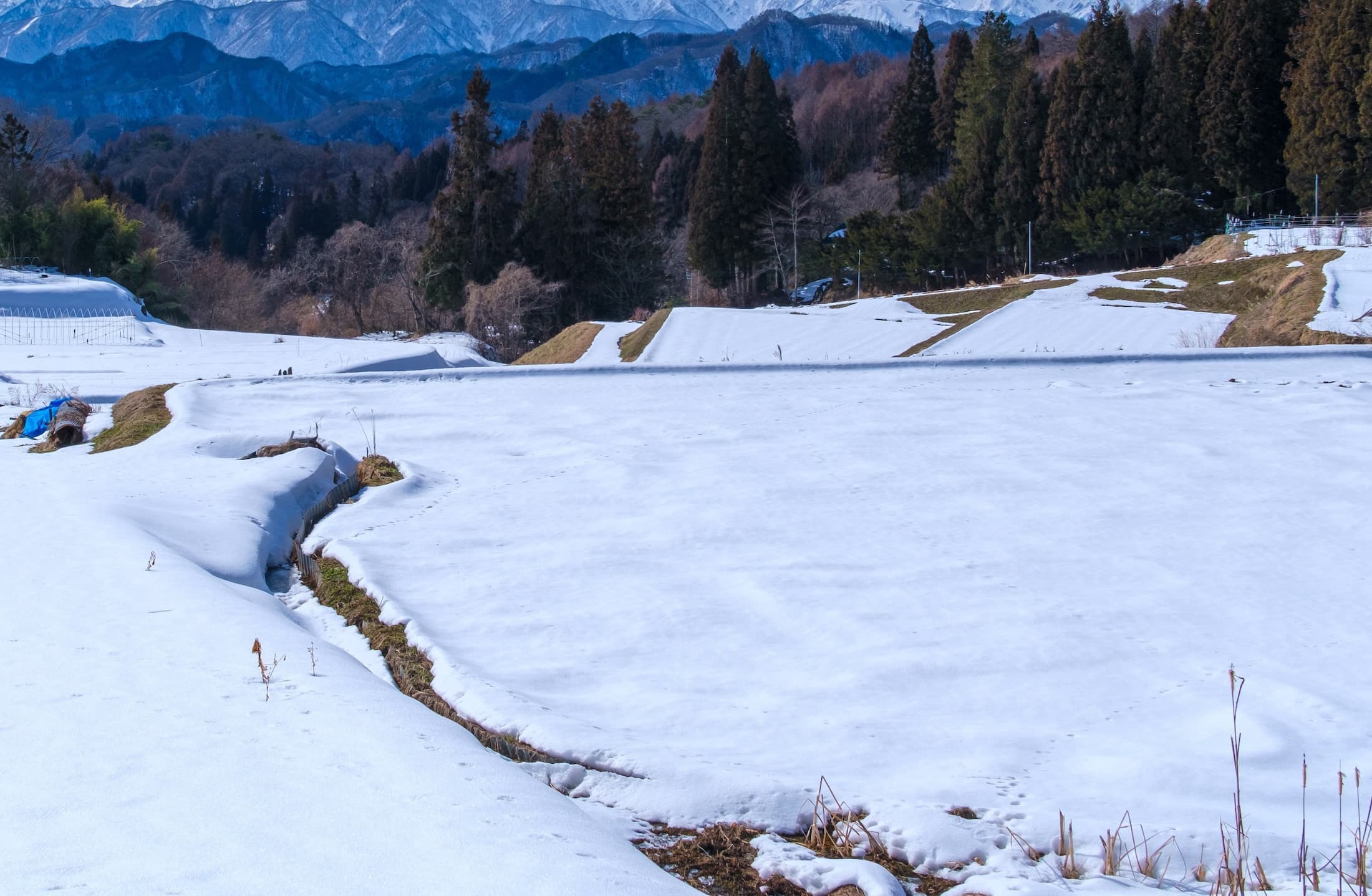 畑の雪景色